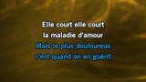 La maladie d'amour (live 2013) Karaoke - Michel Sardou