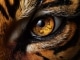 Eye of the Tiger niestandardowy podkład - Survivor