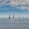 Sailing Ships