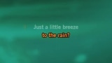 Video Karaoke Liedje What Have They Done to the Rain - The Searchers