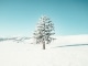 Playback MP3 White Christmas - Karaokê MP3 Instrumental versão popularizada por Perry Como