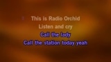 Singen Radio Orchid Karaoke - Fury In The Slaughterhouse - MP3 Karaoke