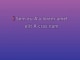 I'll Love You Till the Day I Die - Custom Karaoke - Willie Nelson