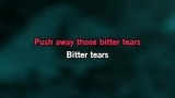 Bitter Tears Karaoke - INXS