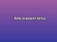 Bad Reputation - Karaoke personalizzato - Thin Lizzy