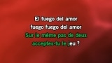 El fuego del amor Karaoke - Vincent Niclo