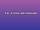 Eternally (2007 version) - Custom Karaoke - Engelbert Humperdinck
