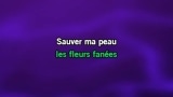 Sauver ma peau Karaoke - Brigitte