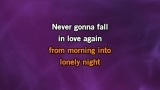 Video Karaoke Never Gonna Fall in Love Again - Eric Carmen