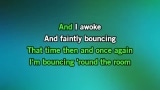 Bouncing Around the Room Karaoke - Phish