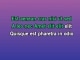 Looking For Somebody (To Love) - Karaoke personalizzato - The 1975