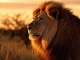 One of Us kustomoitu tausta - The Lion King 2