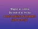 The Drug in Me Is Reimagined - Karaoké Personnalisé - Falling in Reverse