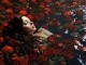 Where the Wild Roses Grow kustomoitu tausta - Nick Cave