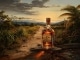Rum Is the Reason base personalizzata - Toby Keith