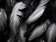 Pista de acomp. personalizable Angels - Within Temptation