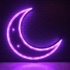 Neon Moon