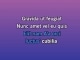 Deli - Karaoke personalizzato - Ice Spice