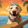 Like My Dog