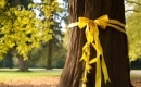 Tie a Yellow Ribbon Round the Ole Oak Tree - Karaoke MP3 backingtrack - Frank Sinatra