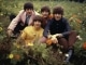 Carry That Weight kustomoitu tausta - The Beatles
