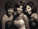 Playback personnalisé Love Is Like an Itching in My Heart - The Supremes
