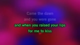 I Had Too Much to Dream (Last Night) Karaoke - The Electric Prunes