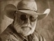 Pista de acomp. personalizable (What This World Needs Is) A Few More Rednecks - The Charlie Daniels Band