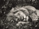 The Lion Sleeps Tonight niestandardowy podkład - The Tokens