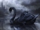 Playback MP3 Swanheart - Karaokê MP3 Instrumental versão popularizada por Nightwish