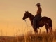 If She Wants a Cowboy Playback personalizado - Zach Bryan