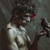 Hey, Little Songbird