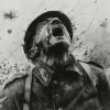 Fields of Verdun