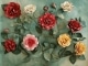 Paper Roses aangepaste backing-track - Anita Bryant