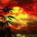 karaoke,A Place in the Sun,Maoli,backing track,instrumental,playback,mp3,lyrics,sing along,singing,cover,karafun,karafun karaoke,Maoli karaoke,karafun Maoli,A Place in the Sun karaoke,karaoke A Place in the Sun,karaoke Maoli A Place in the Sun,karaoke A Place in the Sun Maoli,Maoli A Place in the Sun karaoke,A Place in the Sun Maoli karaoke,A Place in the Sun lyrics,A Place in the Sun cover,