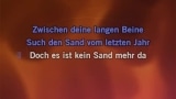 Sehnsucht Karaoke - Rammstein