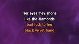 The Black Velvet Band Karaoke - The Irish Rovers