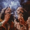 Up in Smoke