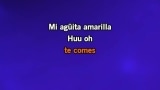 Video Karaoke Mi agüita amarilla - Los Toreros Muertos - Karaoke Canzoni