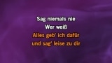 Sag niemals nie Karaoke - Andrea Berg