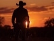 Should've Been a Cowboy (live) individuelles Playback Jason Aldean