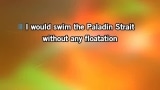 Paladin Strait Karaoke - Twenty One Pilots