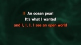 Ocean Pearl Karaoke - 54-40