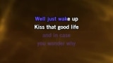 Singen The Good Life Karaoke - Frank Sinatra - MP3 Karaoke