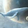 Flying Whales