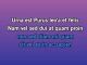 Devil Don't Go There - Custom Karaoke - Lainey Wilson