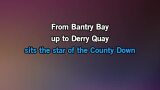 Star of the County Down Karaoke - The Whistlin' Donkeys