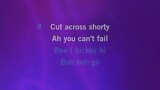 Video Karaoke Liedje Gene and Eddie - The Stray Cats