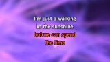 Walking in the Sunshine Karaoke - Bad Manners