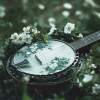 Wagon Wheel, Take It Easy & Country Roads...